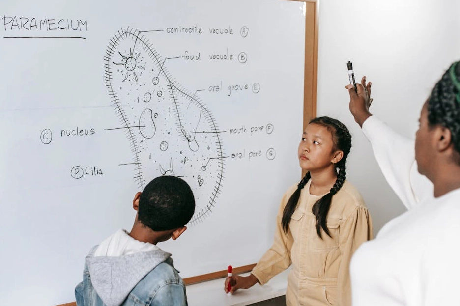 Grafico che illustra la struttura di protezione patrimoniale internazionale